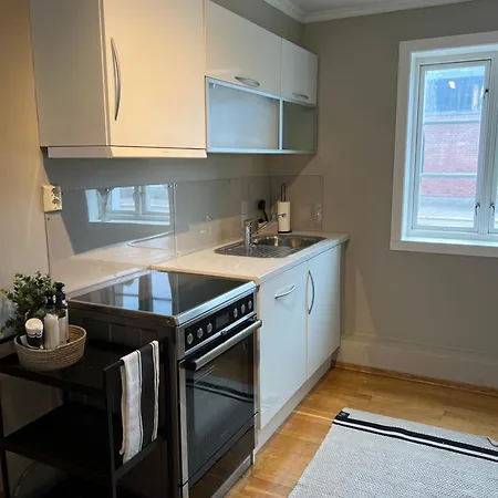 Koselig Midt I Apartmán Tønsberg
