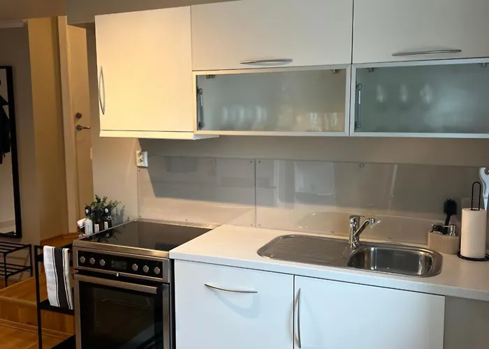Lejlighed Koselig Midt I Tønsberg
